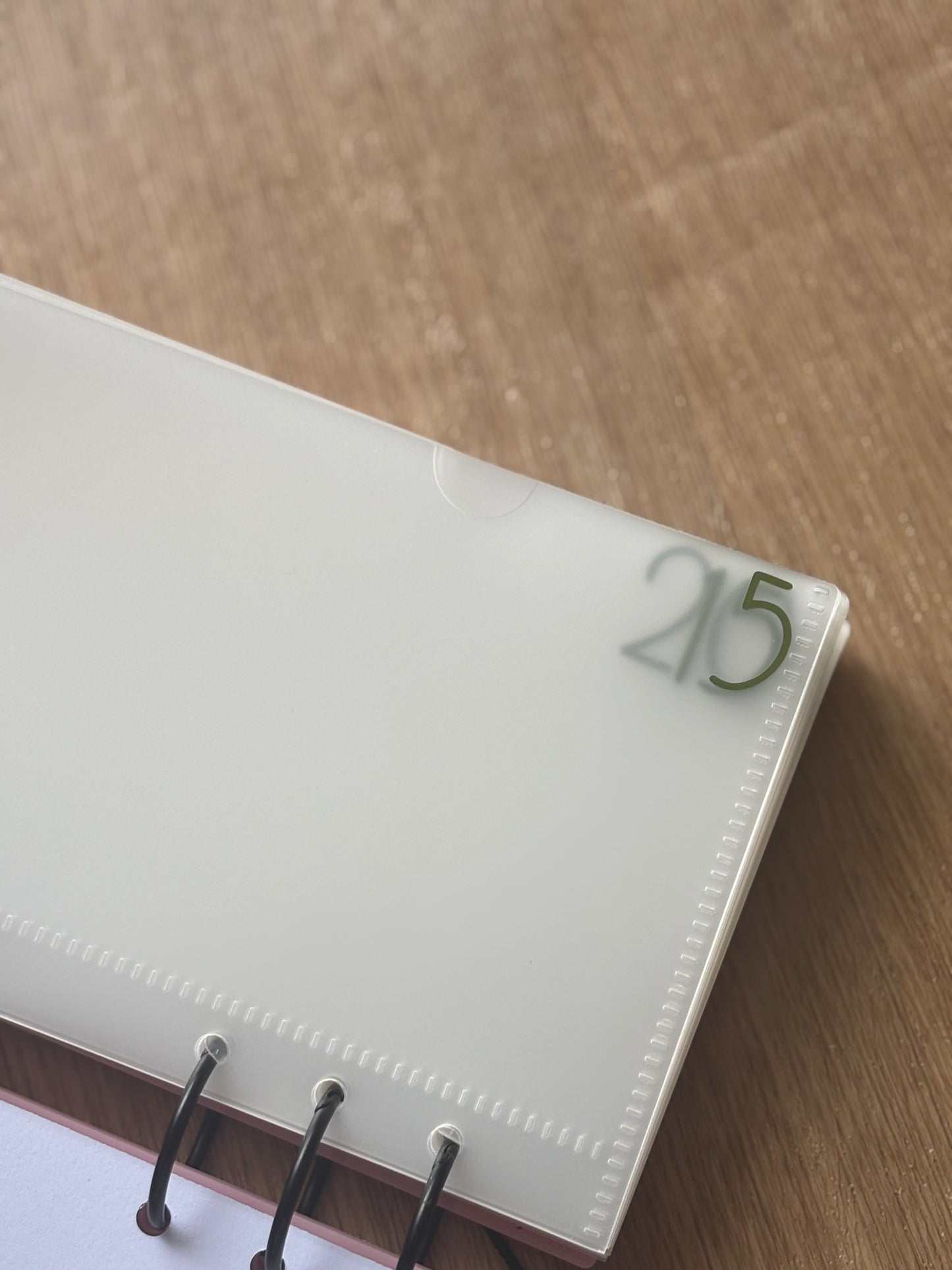 Christmas 250 Savings Challenge Binder A6