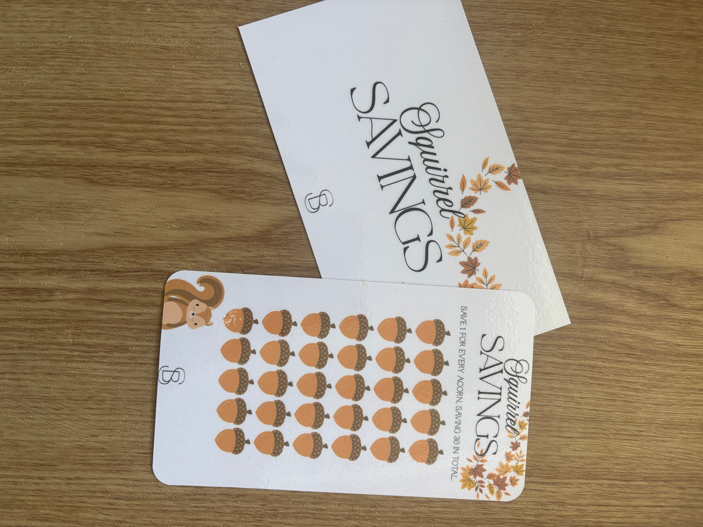 Squirrel Savings Challenge
