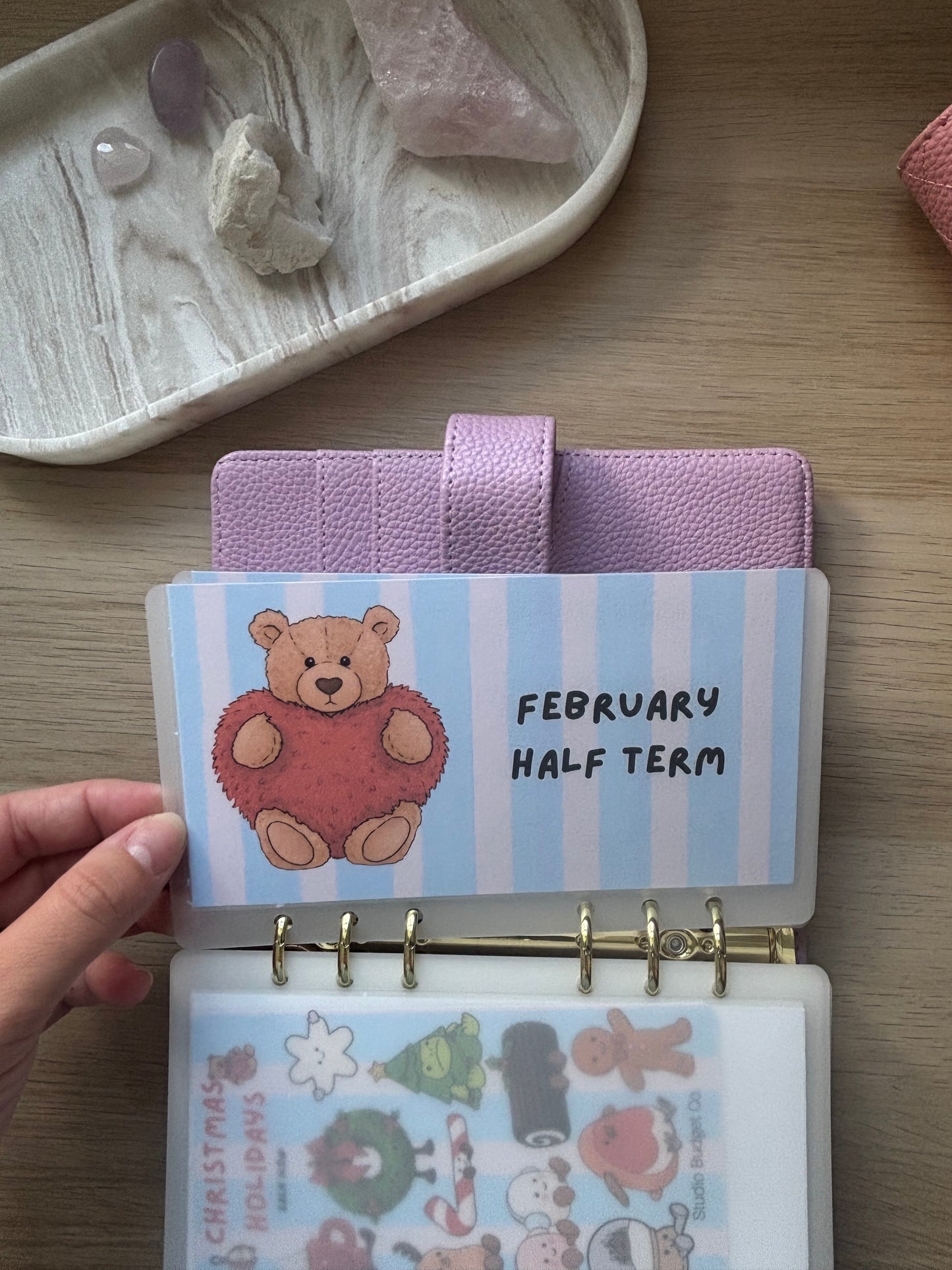 Jelly Bear School Collection