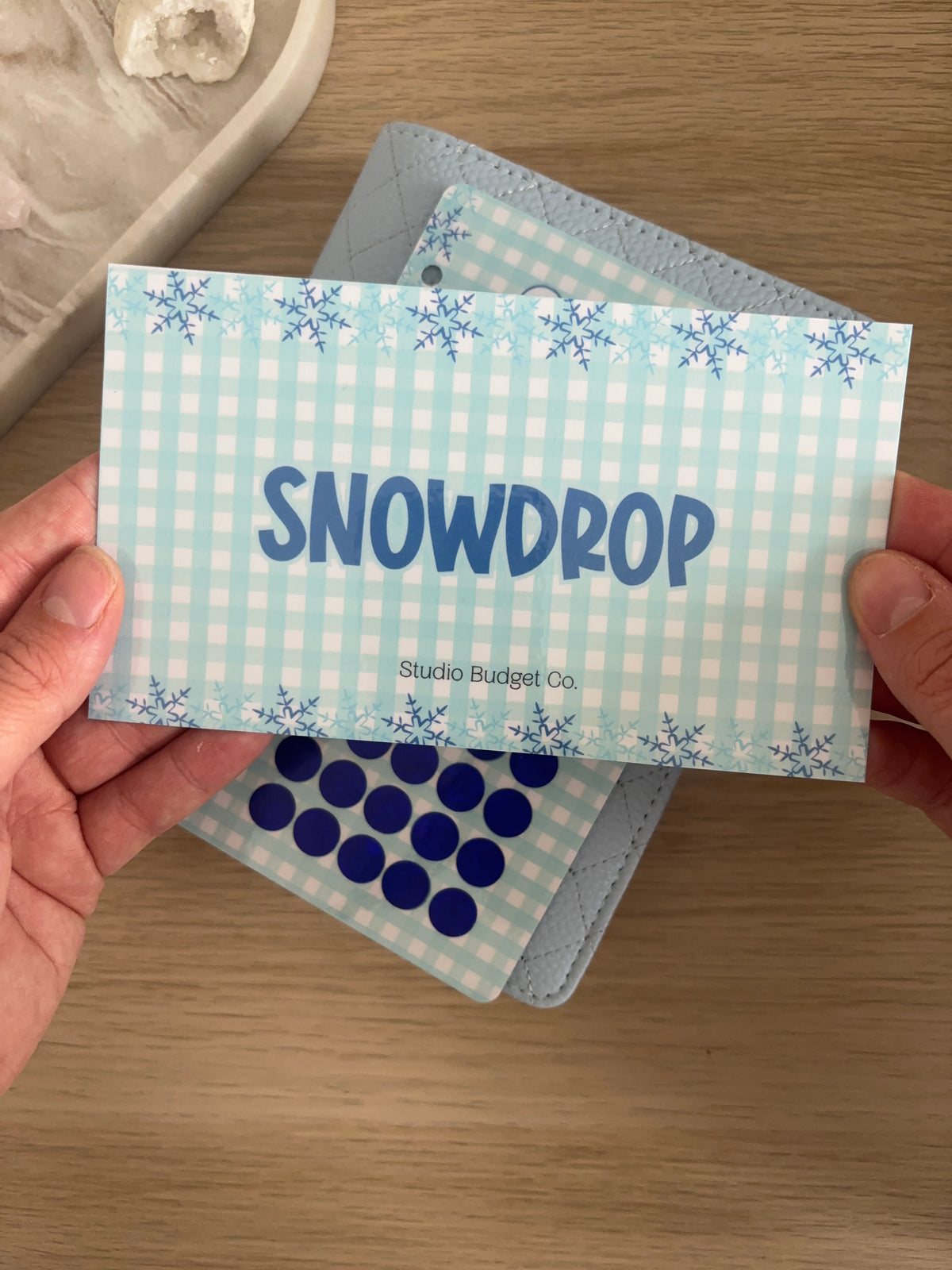 Snowdrop Savings Challenge