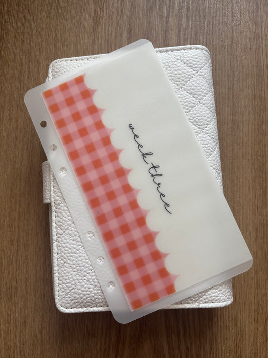 Blush Gingham Charm Vellum Enveloes