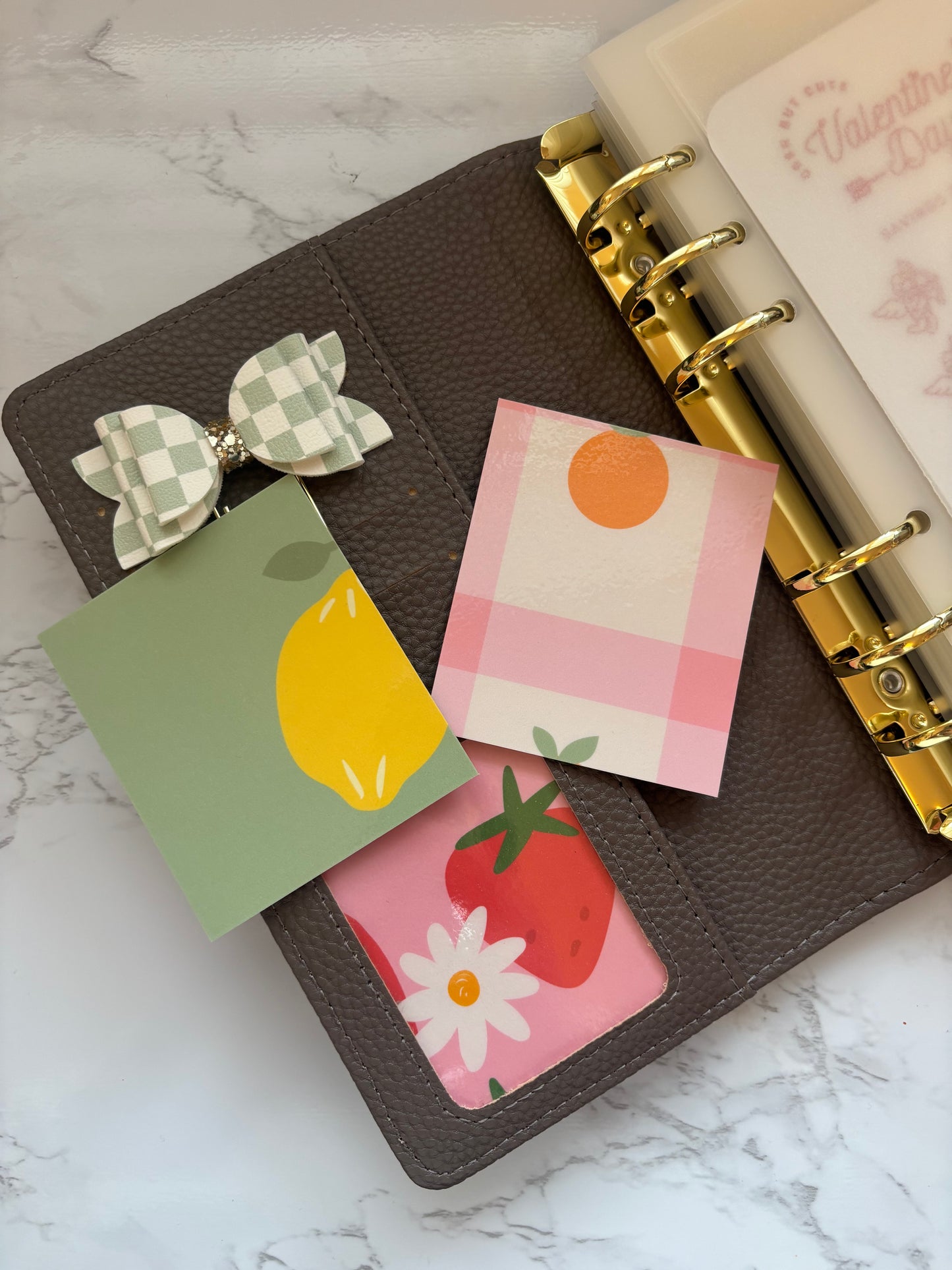 Binder Window Inserts