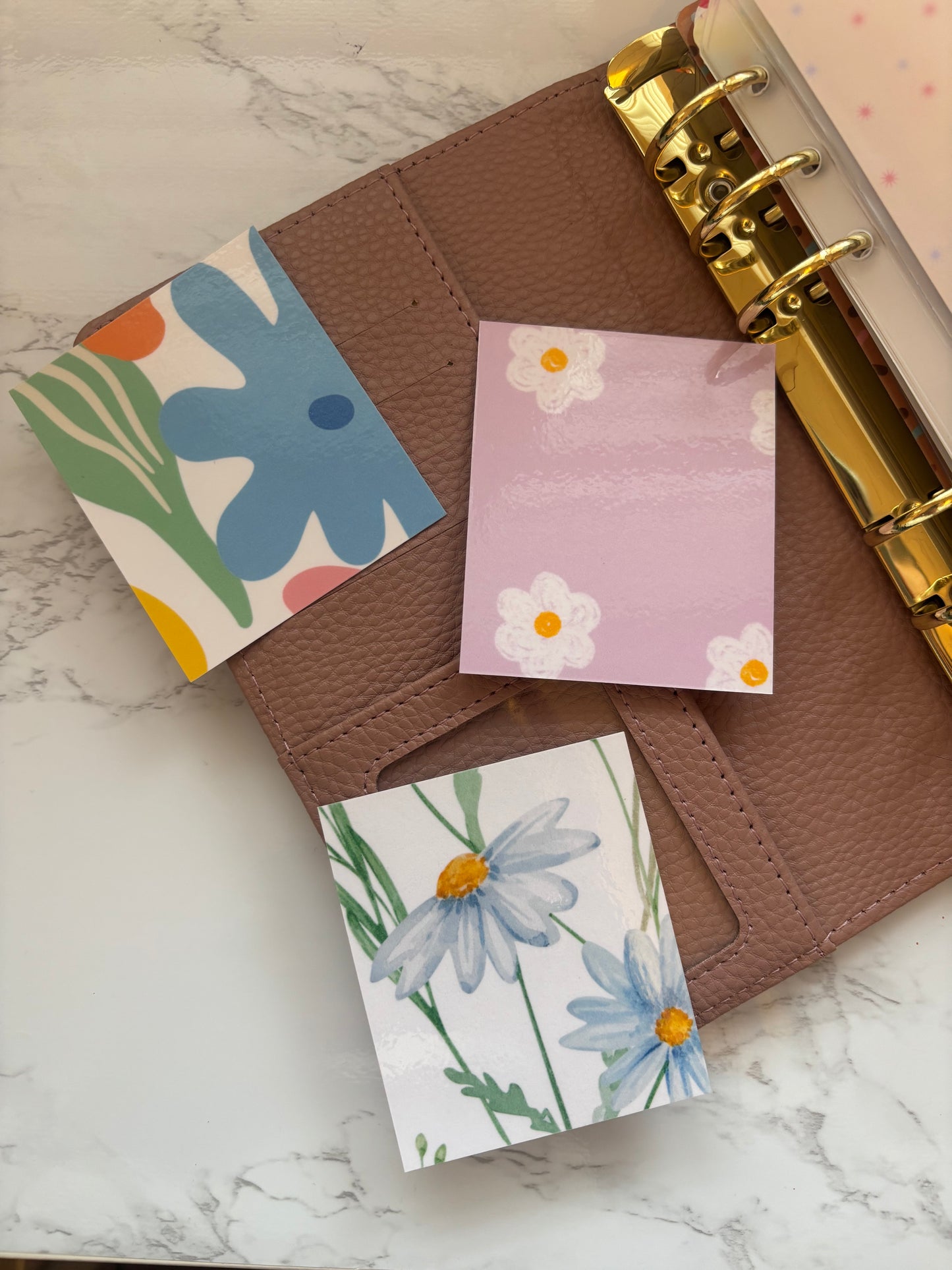 Binder Window Inserts