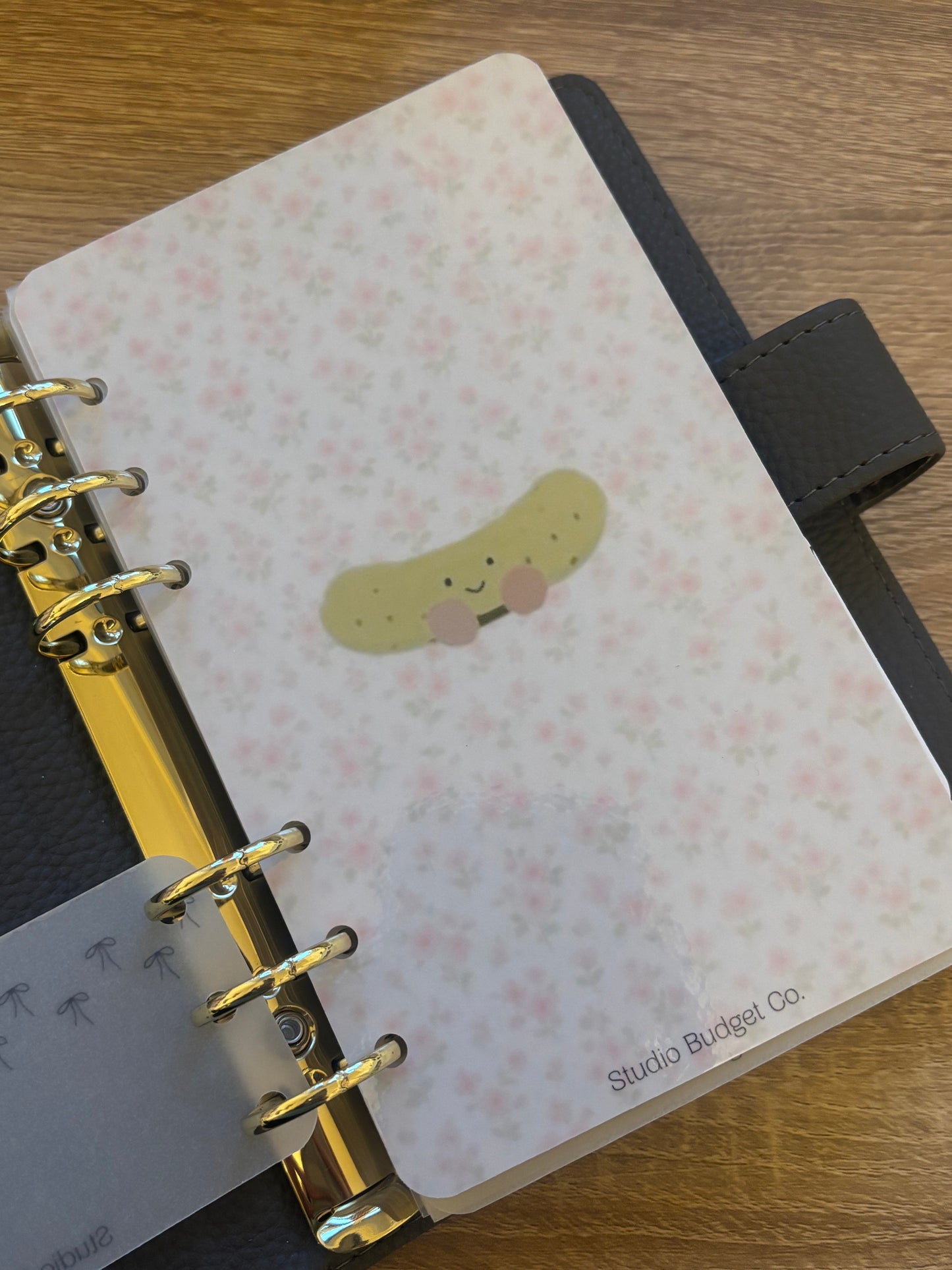 Pickle Jelly Bear A6 Dashboard