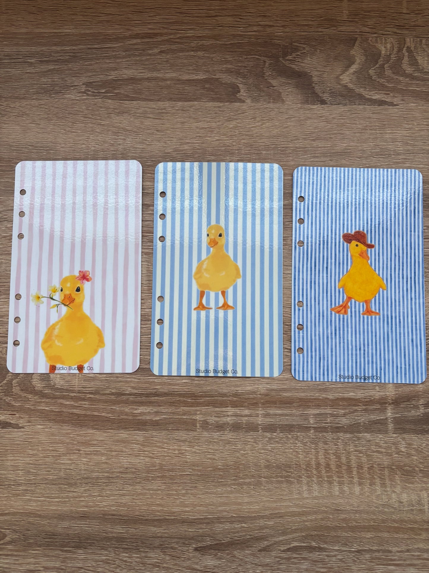 Ducky Lucky Dashboards