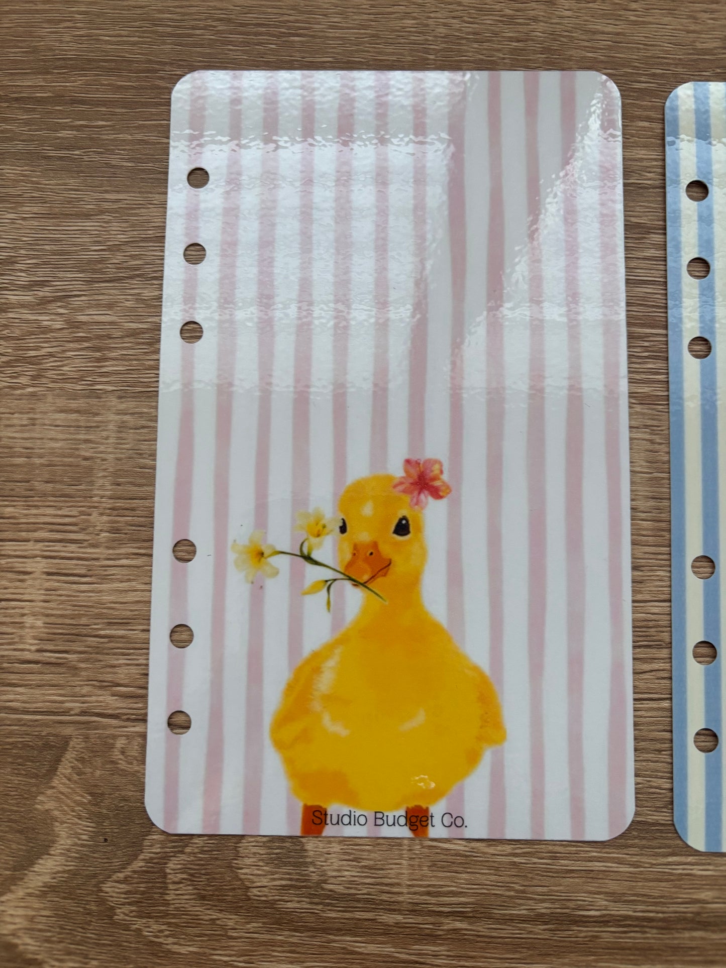Ducky Lucky Dashboards