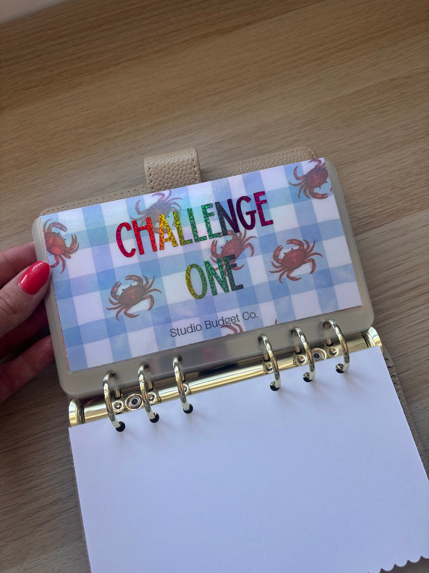 Summer Challenge Envelopes 1-8