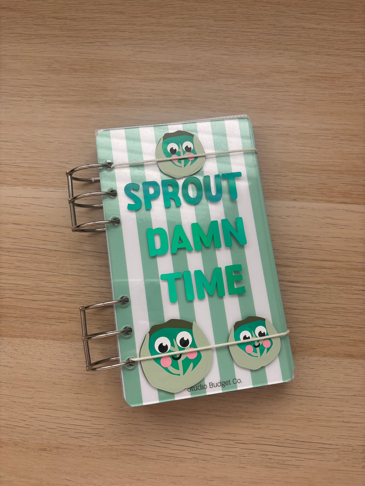 Sprout Damn Time Acrylic Savings Challenge Binder