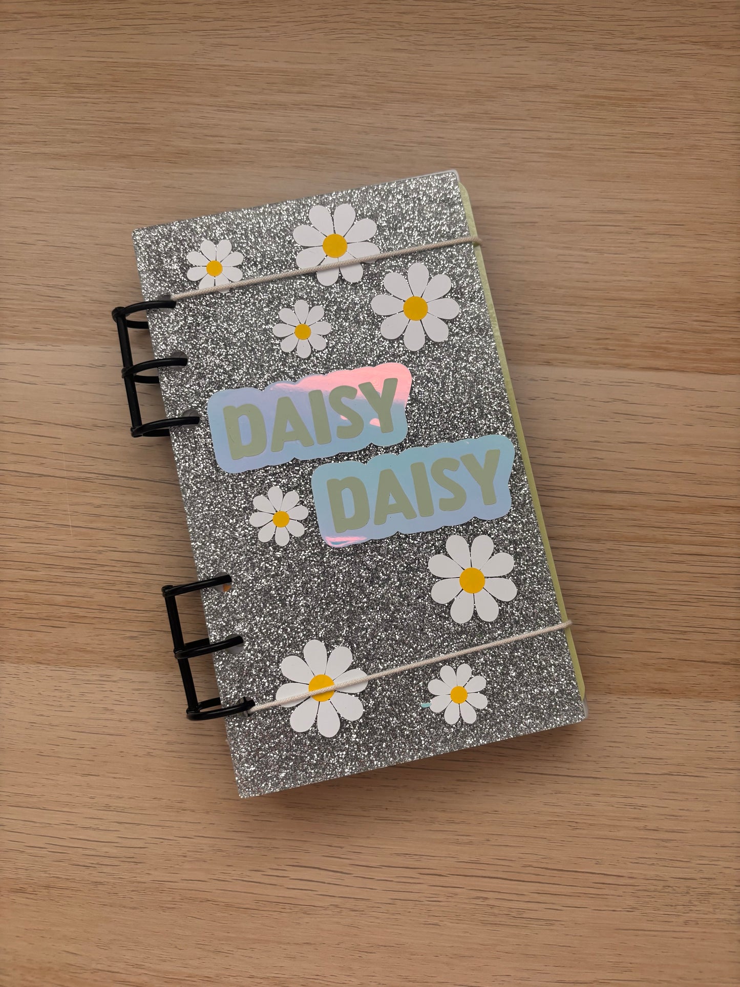 Dancing Daisy Acrylic Savings Binder 200