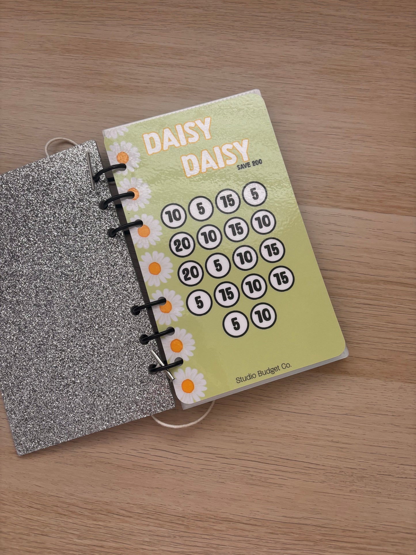 Dancing Daisy Acrylic Savings Binder 200