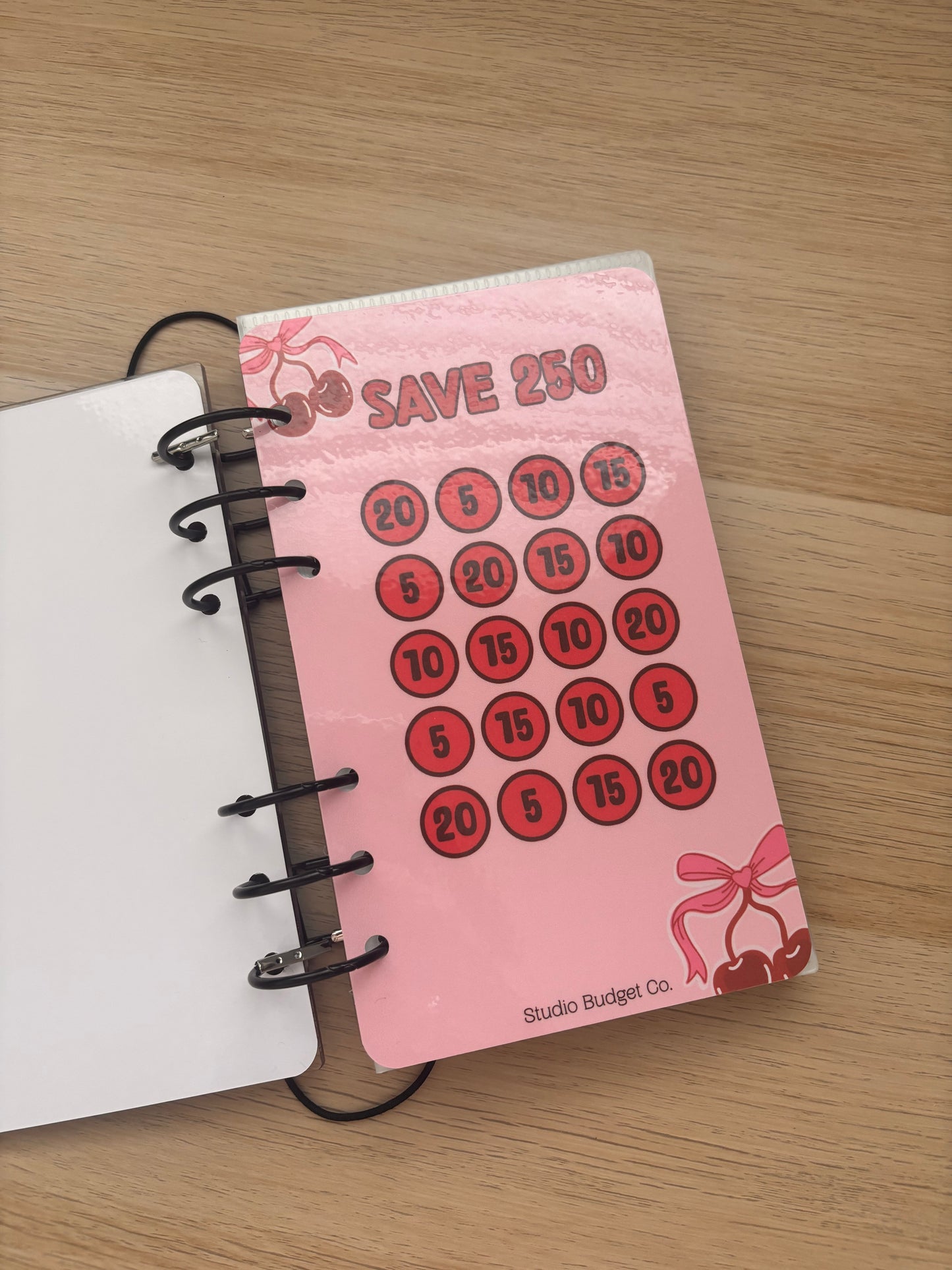 Cherry - Tastic Acrylic Savings Binder